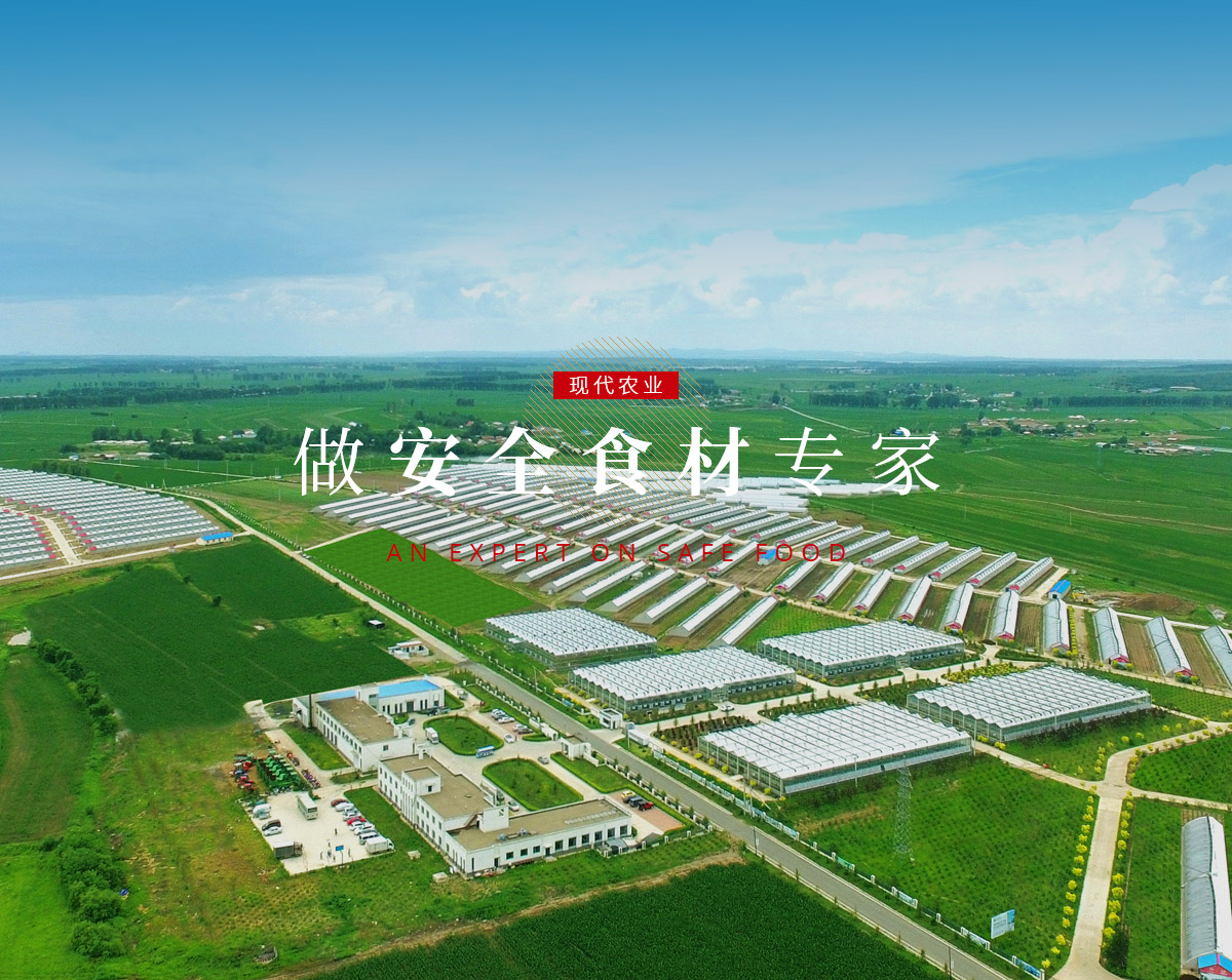 云顶集团3118(中国)官方网站