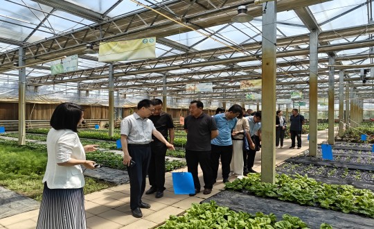 2024年6月27日，中国绿色食品发展中心有关辅导光临农业总公司调查调研_副本.jpg