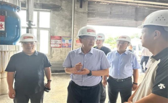 14.伊通满族自治县县委书记孙立阳一行辅导光临云顶集团3118供热总公司伊通供热分公司第二热源厂发展调研（不够清澈，助忙调整）_副本.jpg