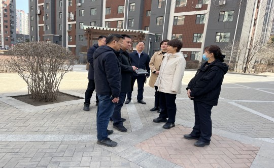 7.长春市向阳区区长鲁晓光一行光临云顶集团3118?南湖第宅幼区参观领导_副本.jpg