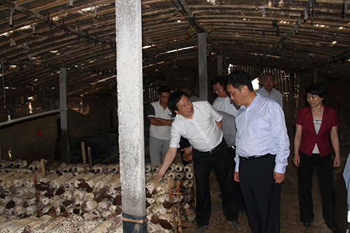 mg不朽情缘(中国)官方网站